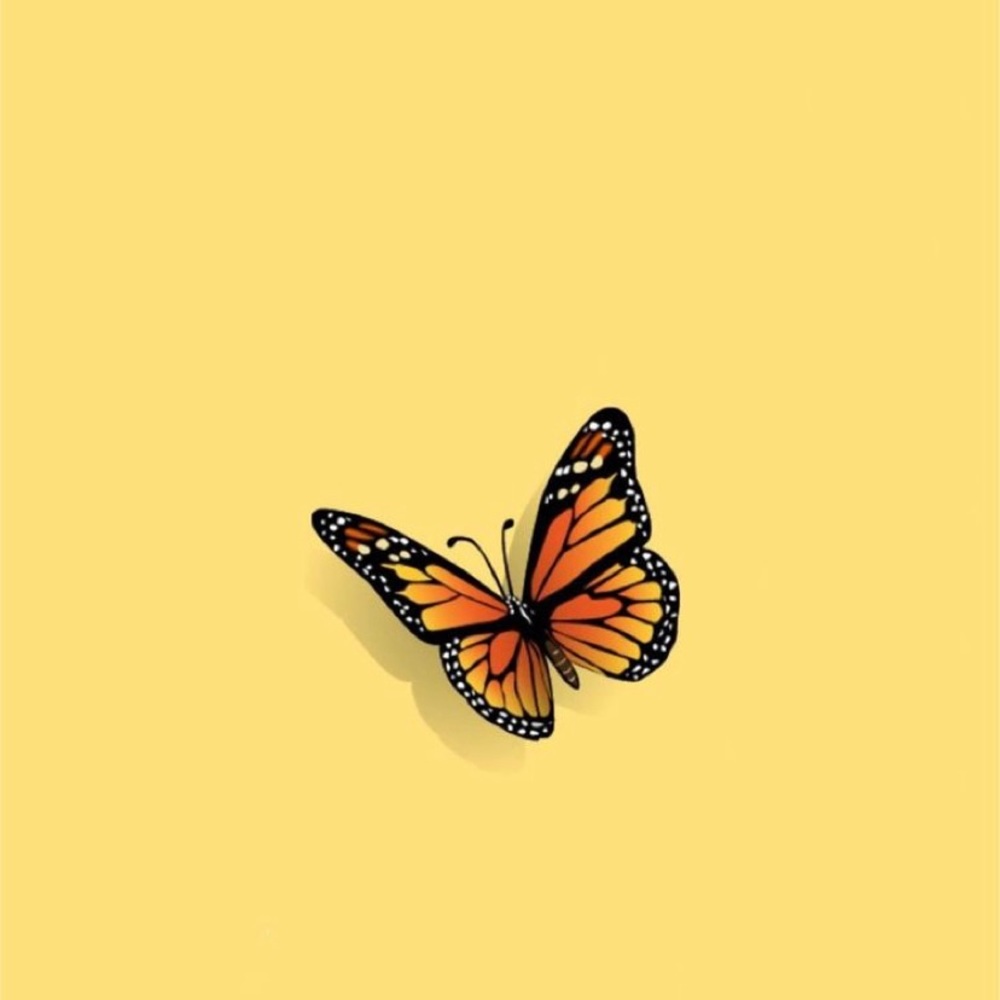 Meet your Posher, Amelia